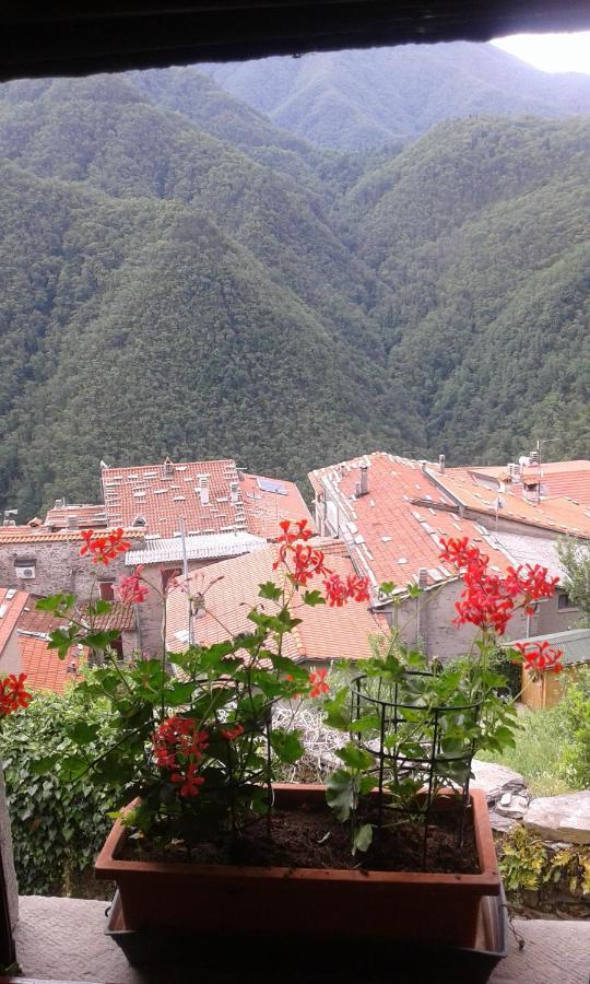 Stazzema Casa Poggio Delle Farfalle 빌라 외부 사진